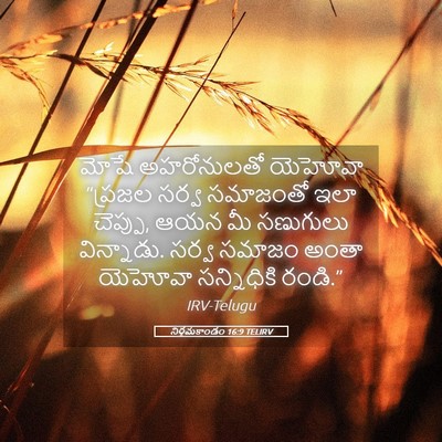Picture 05 - నిర్గమకాండం 16:9 TELIRV - మోషే అహరోనులతో - Bible Verse Picture