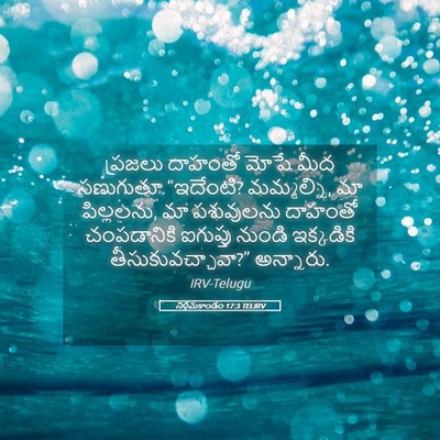 Picture 05 - నిర్గమకాండం 17:3 TELIRV - ప్రజలు దాహంతో - Bible Verse Picture