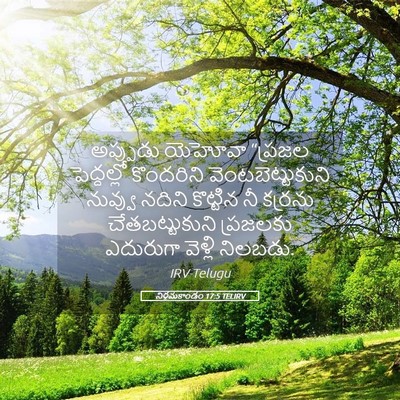 Picture 05 - నిర్గమకాండం 17:5 TELIRV - అప్పుడు యెహోవా - Bible Verse Picture