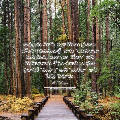 Picture 05 - నిర్గమకాండం 17:7 TELIRV - అప్పుడు మోషే - Bible Verse Picture