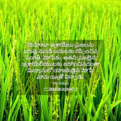 Picture 05 - నిర్గమకాండం 18:1 TELIRV - యెహోవా ఇశ్రాయేలు - Bible Verse Picture