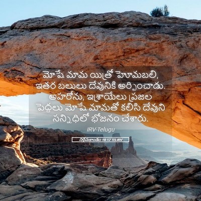 Picture 05 - నిర్గమకాండం 18:12 TELIRV - మోషే మామ యిత్రో - Bible Verse Picture