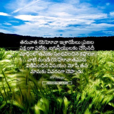 Picture 05 - నిర్గమకాండం 18:8 TELIRV - తరువాత యెహోవా - Bible Verse Picture