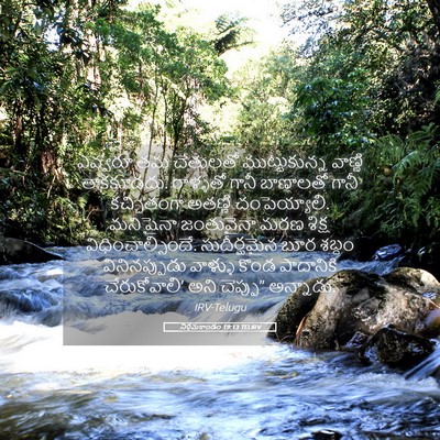 Picture 05 - నిర్గమకాండం 19:13 TELIRV - ఎవ్వరూ తమ చేతులతో - Bible Verse Picture