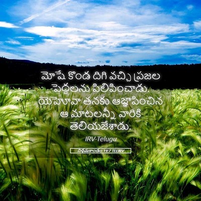 Picture 05 - నిర్గమకాండం 19:7 TELIRV - మోషే కొండ దిగి - Bible Verse Picture