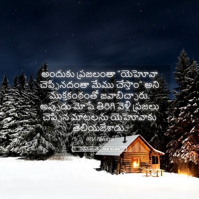 Picture 05 - నిర్గమకాండం 19:8 TELIRV - అందుకు ప్రజలంతా - Bible Verse Picture