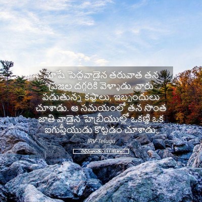 Picture 05 - నిర్గమకాండం 2:11 TELIRV - మోషే పెద్దవాడైన - Bible Verse Picture