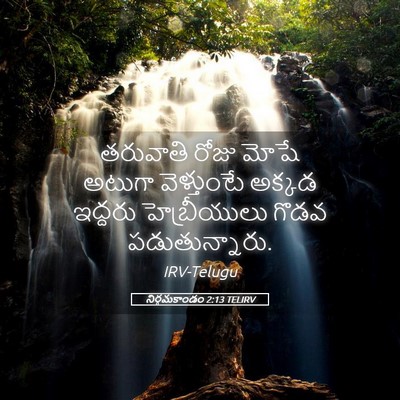 Picture 05 - నిర్గమకాండం 2:13 TELIRV - తరువాతి రోజు మోషే - Bible Verse Picture