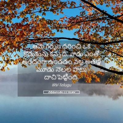 Picture 05 - నిర్గమకాండం 2:2 TELIRV - ఆమె గర్భం ధరించి - Bible Verse Picture