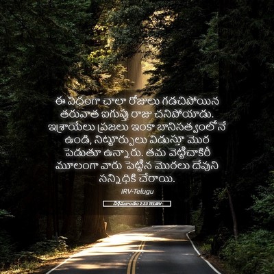 Picture 05 - నిర్గమకాండం 2:23 TELIRV - ఈ విధంగా చాలా - Bible Verse Picture