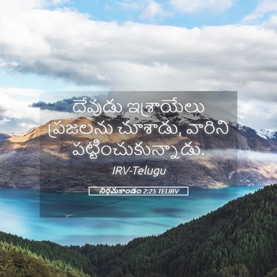 Picture 05 - నిర్గమకాండం 2:25 TELIRV - దేవుడు ఇశ్రాయేలు - Bible Verse Picture
