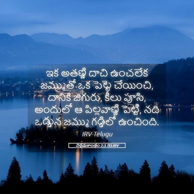 Picture 05 - నిర్గమకాండం 2:3 TELIRV - ఇక అతణ్ణి దాచి - Bible Verse Picture