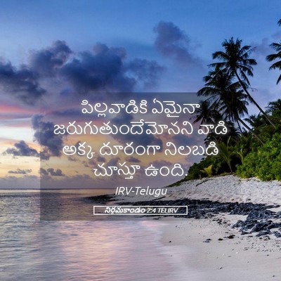 Picture 05 - నిర్గమకాండం 2:4 TELIRV - పిల్లవాడికి ఏమైనా - Bible Verse Picture