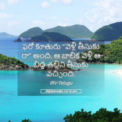 Picture 05 - నిర్గమకాండం 2:8 TELIRV - ఫరో కూతురు - Bible Verse Picture