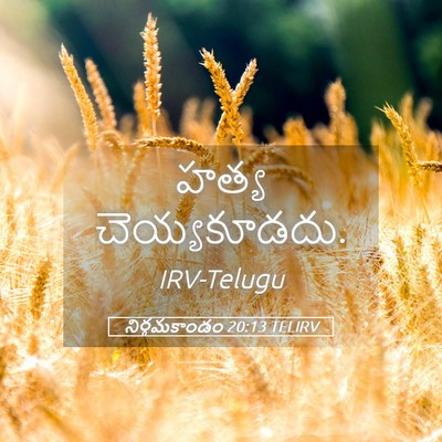 Picture 05 - నిర్గమకాండం 20:13 TELIRV - హత్య - Bible Verse Picture