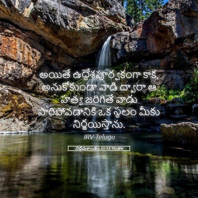Picture 05 - నిర్గమకాండం 21:13 TELIRV - అయితే - Bible Verse Picture