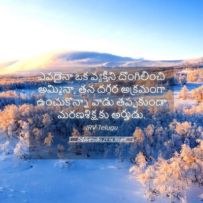 Picture 05 - నిర్గమకాండం 21:16 TELIRV - ఎవడైనా ఒక - Bible Verse Picture