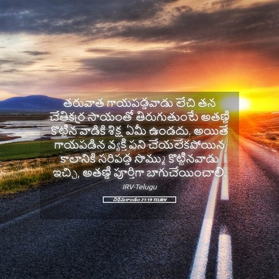 Picture 05 - నిర్గమకాండం 21:19 TELIRV - తరువాత - Bible Verse Picture