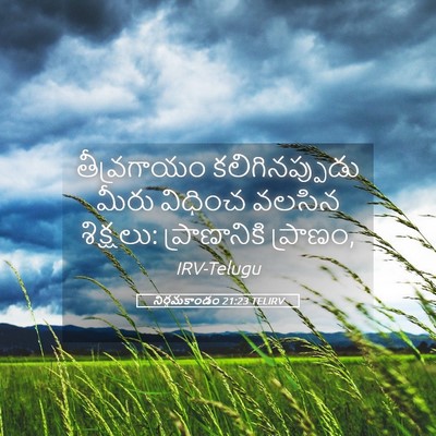 Picture 05 - నిర్గమకాండం 21:23 TELIRV - తీవ్రగాయం - Bible Verse Picture