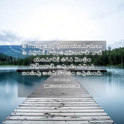 Picture 05 - నిర్గమకాండం 21:34 TELIRV - ఆ గొయ్యి ఉన్న - Bible Verse Picture