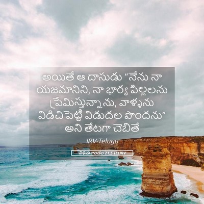 Picture 05 - నిర్గమకాండం 21:5 TELIRV - అయితే ఆ దాసుడు - Bible Verse Picture