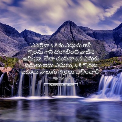 Picture 05 - నిర్గమకాండం 22:1 TELIRV - “ఎవరైనా ఒకడు - Bible Verse Picture
