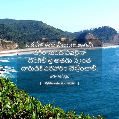 Picture 05 - నిర్గమకాండం 22:12 TELIRV - ఒకవేళ అది నిజంగా - Bible Verse Picture