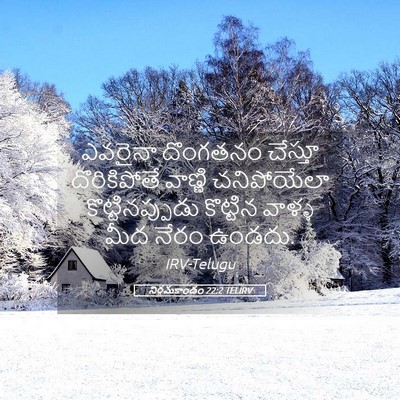 Picture 05 - నిర్గమకాండం 22:2 TELIRV - ఎవరైనా దొంగతనం - Bible Verse Picture
