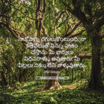 Picture 05 - నిర్గమకాండం 22:24 TELIRV - నా కోపాగ్ని - Bible Verse Picture
