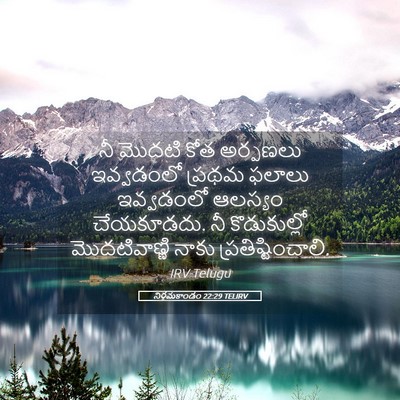 Picture 05 - నిర్గమకాండం 22:29 TELIRV - నీ మొదటి కోత - Bible Verse Picture