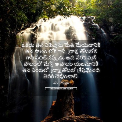 Picture 05 - నిర్గమకాండం 22:5 TELIRV - ఒకడు తన పశువును - Bible Verse Picture