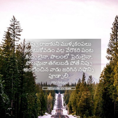 Picture 05 - నిర్గమకాండం 22:6 TELIRV - నిప్పు రాజుకుని - Bible Verse Picture