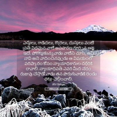 Picture 05 - నిర్గమకాండం 22:9 TELIRV - ఎద్దులు, గాడిదలు, - Bible Verse Picture