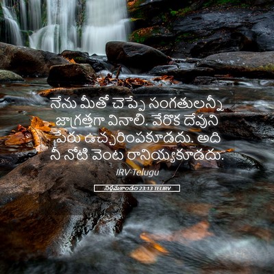 Picture 05 - నిర్గమకాండం 23:13 TELIRV - నేను మీతో చెప్పే - Bible Verse Picture