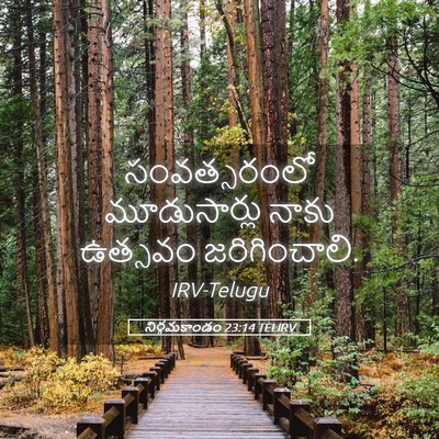 Picture 05 - నిర్గమకాండం 23:14 TELIRV - సంవత్సరంలో - Bible Verse Picture