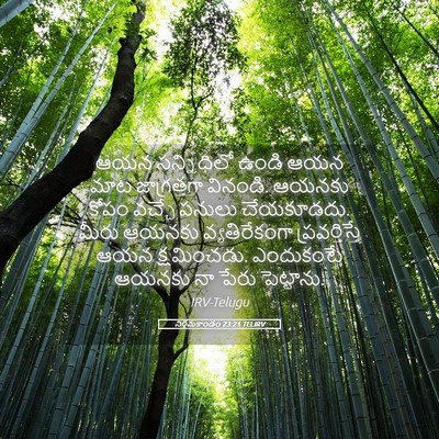 Picture 05 - నిర్గమకాండం 23:21 TELIRV - ఆయన సన్నిధిలో - Bible Verse Picture