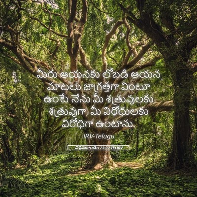 Picture 05 - నిర్గమకాండం 23:22 TELIRV - మీరు ఆయనకు లోబడి - Bible Verse Picture