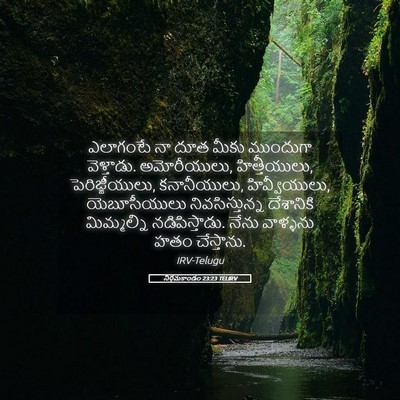 Picture 05 - నిర్గమకాండం 23:23 TELIRV - ఎలాగంటే నా దూత - Bible Verse Picture