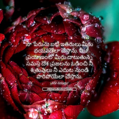 Picture 05 - నిర్గమకాండం 23:27 TELIRV - నా పేరును బట్టి - Bible Verse Picture