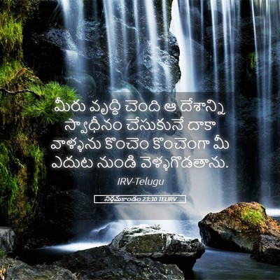 Picture 05 - నిర్గమకాండం 23:30 TELIRV - మీరు వృద్ధి చెంది - Bible Verse Picture