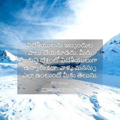Picture 05 - నిర్గమకాండం 23:9 TELIRV - విదేశీయులను - Bible Verse Picture