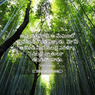 Picture 05 - నిర్గమకాండం 24:18 TELIRV - అప్పుడు మోషే ఆ - Bible Verse Picture