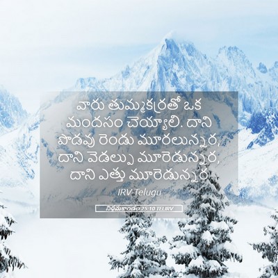 Picture 05 - నిర్గమకాండం 25:10 TELIRV - వారు తుమ్మకర్రతో - Bible Verse Picture