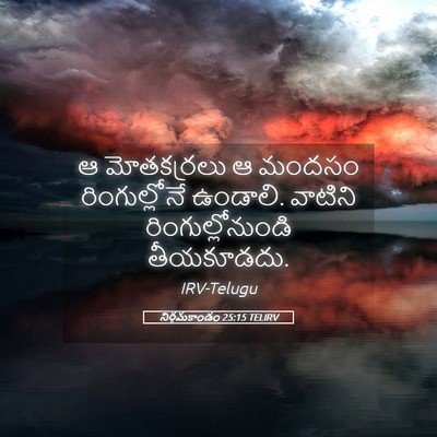 Picture 05 - నిర్గమకాండం 25:15 TELIRV - ఆ మోతకర్రలు ఆ - Bible Verse Picture