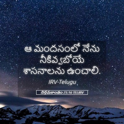 Picture 05 - నిర్గమకాండం 25:16 TELIRV - ఆ మందసంలో నేను - Bible Verse Picture