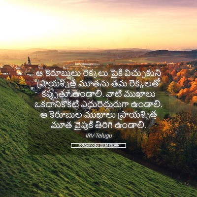 Picture 05 - నిర్గమకాండం 25:20 TELIRV - ఆ కెరూబులు - Bible Verse Picture