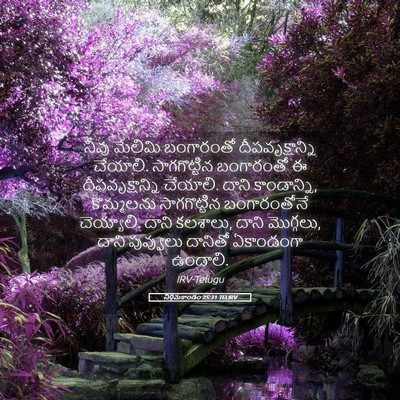 Picture 05 - నిర్గమకాండం 25:31 TELIRV - నీవు మేలిమి - Bible Verse Picture