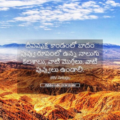 Picture 05 - నిర్గమకాండం 25:34 TELIRV - దీపవృక్ష కాండంలో - Bible Verse Picture