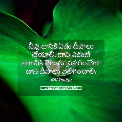 Picture 05 - నిర్గమకాండం 25:37 TELIRV - నీవు దానికి ఏడు - Bible Verse Picture