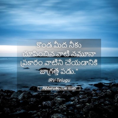 Picture 05 - నిర్గమకాండం 25:40 TELIRV - కొండ మీద నీకు - Bible Verse Picture